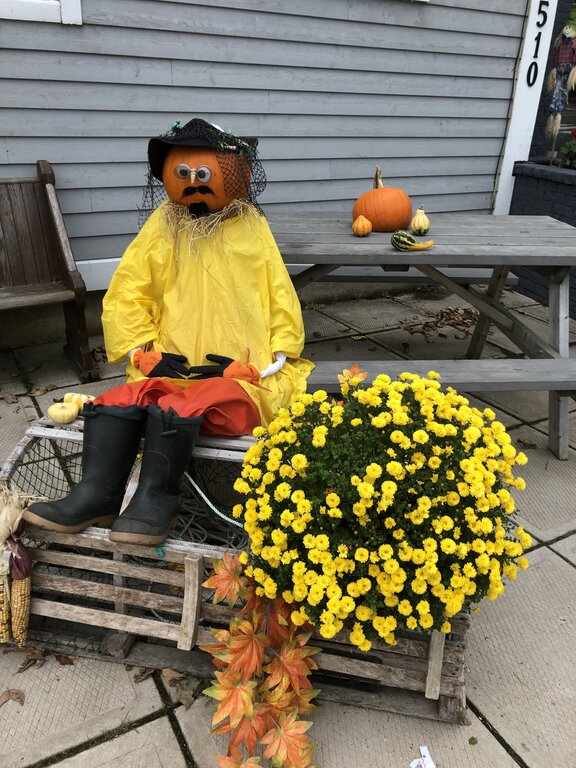 A pumpkin-headed scarecrow dressed as a fisherman in a yellow raincoat, red pants, and black boots sits on a wooden lobster trap beside a bunch of yellow chrysanthemums. This coastal-themed display is part of the Scarecrow Festival in Mahone Bay, Nova Scotia.