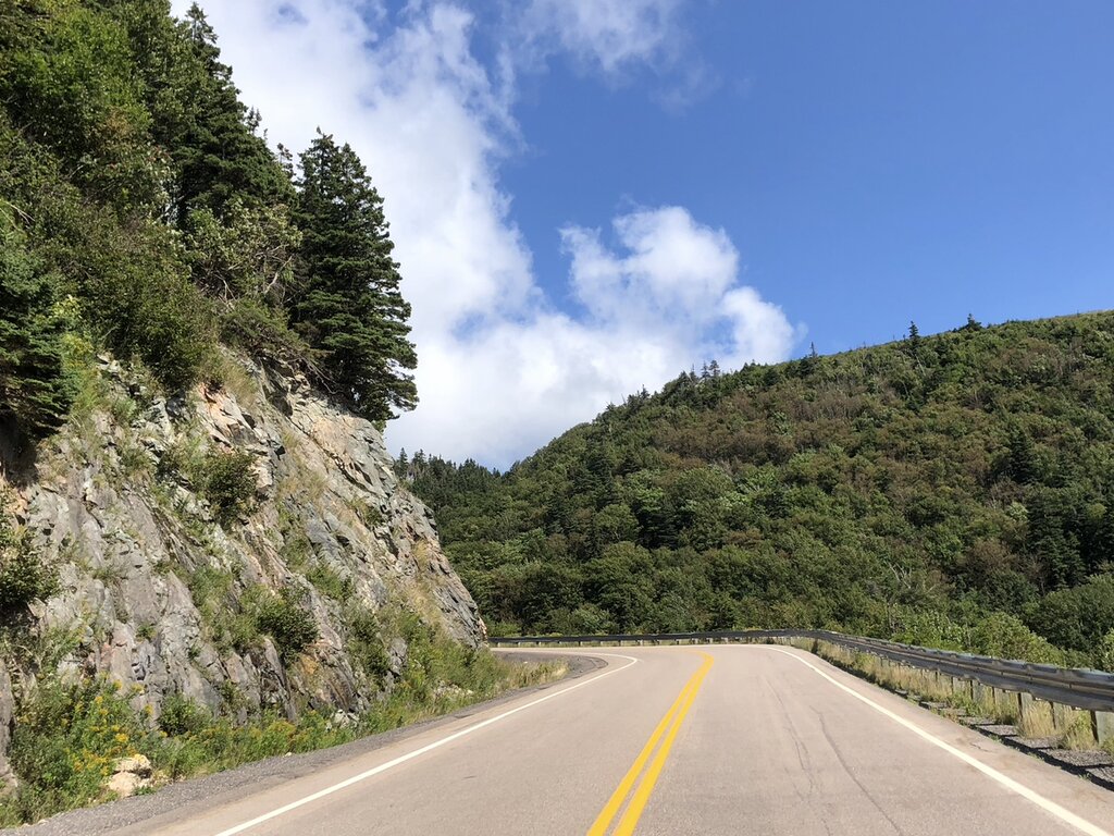A two-lane road hugs a rocky cliff on one side and dense forest on the other as it winds through Cape Breton’s highlands, with guardrails and yellow road lines guiding the curve.