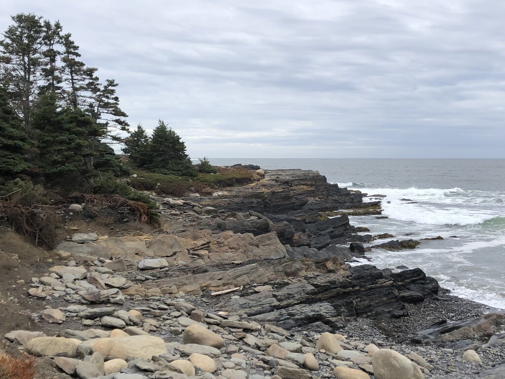 Layered rock formations stretch along the rugged coastline at Gaff Point, where ocean waves crash against the dark stone under a cloudy sky. Evergreen trees and low coastal vegetation frame the trail, creating a wild and weathered scene at the edge of the land.