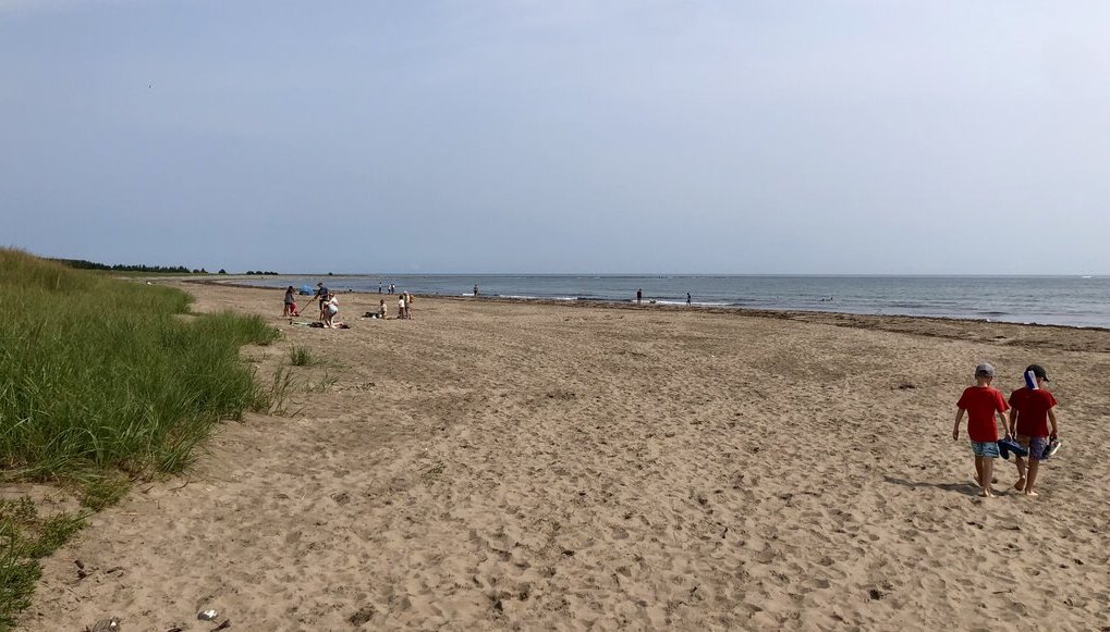 A wide, sandy beach stretches out to the ocean with a few groups of people scattered along the shoreline. Two kids in red shirts walk barefoot across the sand, holding beach gear, while grassy dunes line the left side under a hazy sky.