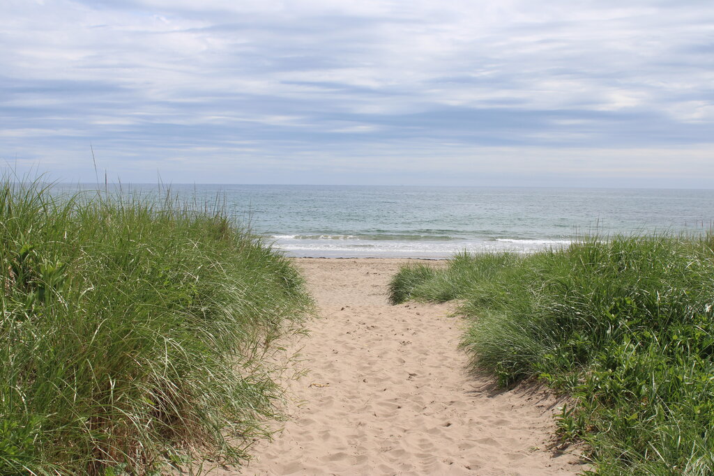 A sandy footpath framed by tall, green dune grass leads to a quiet shoreline with gentle waves under a partly cloudy sky. The scene feels peaceful and natural, with no people in view—just the beach and ocean ahead.