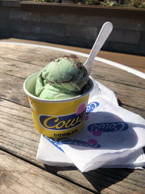 A scoop of mint chocolate chip ice cream with chocolate swirl sits in a branded yellow COWS cup on a rustic wooden table, with a white spoon and napkin.