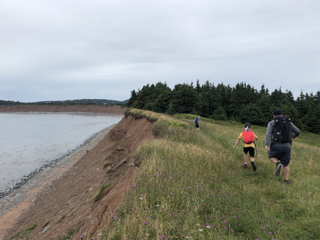 A group of hikers, including two children and an adult, walk along a grassy cliffside trail beside the Atlantic ocean in Lawrencetown Nova Scotia, with pine trees on one side and steep red bluffs dropping to the rocky shoreline on the other. The sky is overcast, adding a moody coastal vibe.
