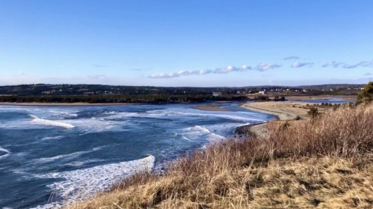 A sweeping coastal view showing gentle waves rolling onto the beach with winding waterways and grassy dunes. The photo is taken from a high vantage point behind the Lawrencetown Cafe, under a bright blue sky, capturing the scenic eastern shore of Nova Scotia.