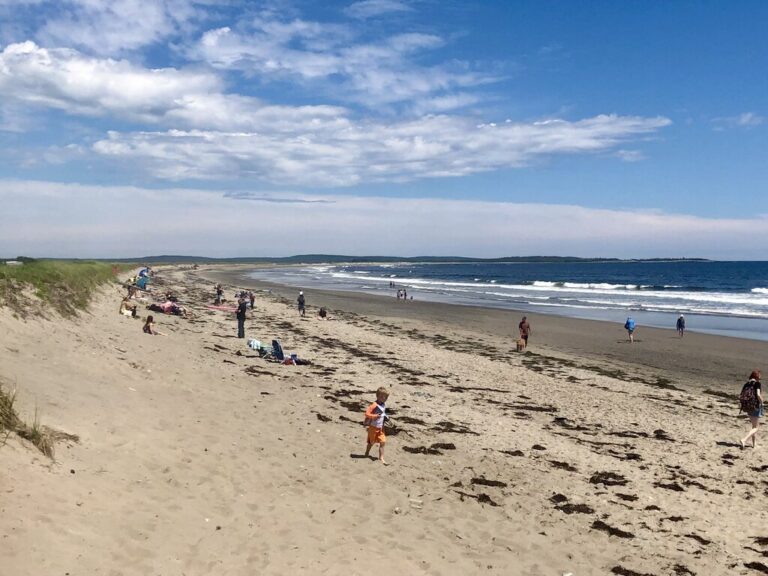Wide sandy shoreline at Martinique Beach, Nova Scotia, with scattered beachgoers relaxing, walking, and playing under a sunny blue sky with streaky clouds. Waves roll in gently along the coast as children run through the sand and seaweed lines the water's edge.