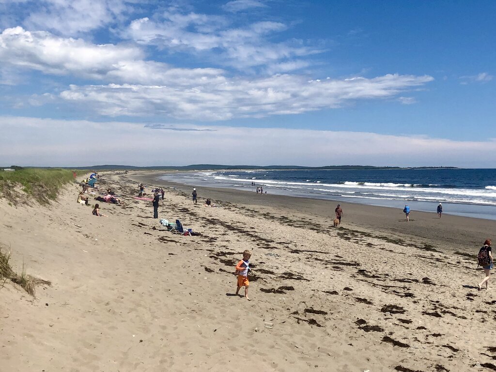 Wide sandy shoreline at Martinique Beach, Nova Scotia, with scattered beachgoers relaxing, walking, and playing under a sunny blue sky with streaky clouds. Waves roll in gently along the coast as children run through the sand and seaweed lines the water's edge.