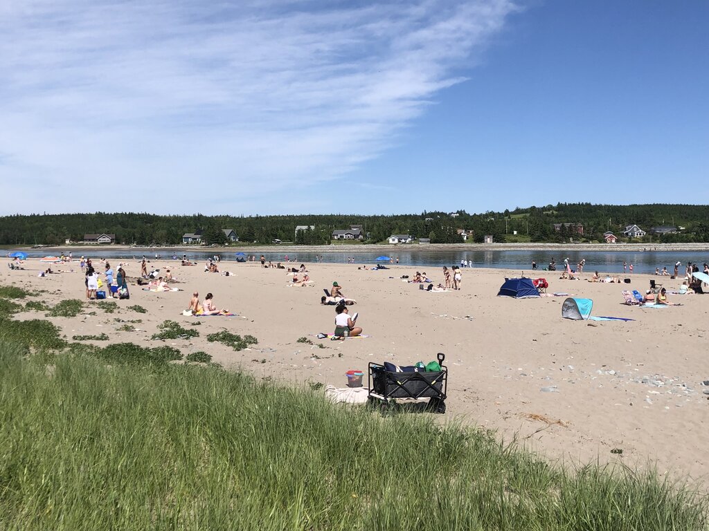A sunny day at Rainbow Haven Beach shows dozens of people relaxing on the sand near calm waters, with small tents and beach gear scattered around. Grassy dunes frame the foreground and a tree-lined residential area sits across the water.