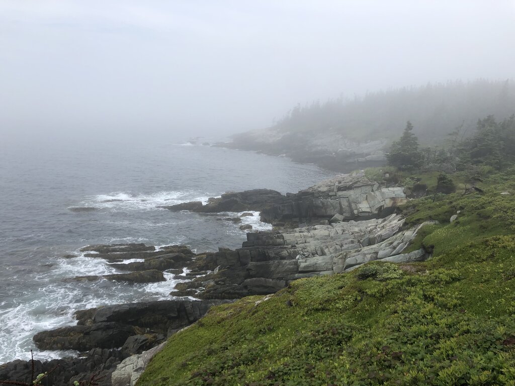 A moody coastal scene with waves crashing on jagged rocks along the mist-covered shoreline of Taylor Head Provincial Park, framed by rugged cliffs and a backdrop of evergreen forest fading into fog.