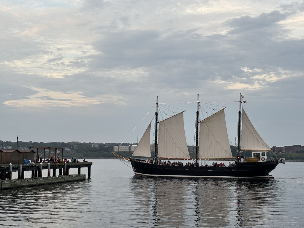 The tall ship Silva—with three billowed cream sails—glides gracefully through Halifax Harbour past a wooden wharf crowded with spectators, under a cloudy maritime sky.