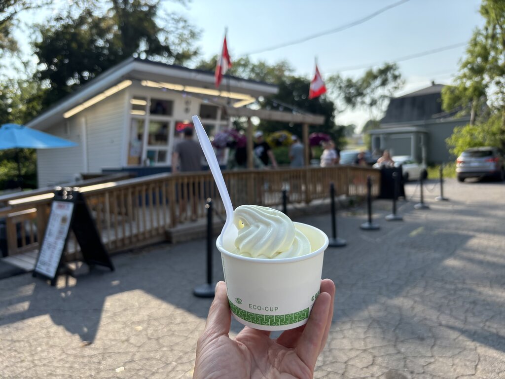 A hand holds a cup of soft serve vanilla ice cream in front of a busy ice cream stand in Pictou with people lined up and Canadian flags flying.