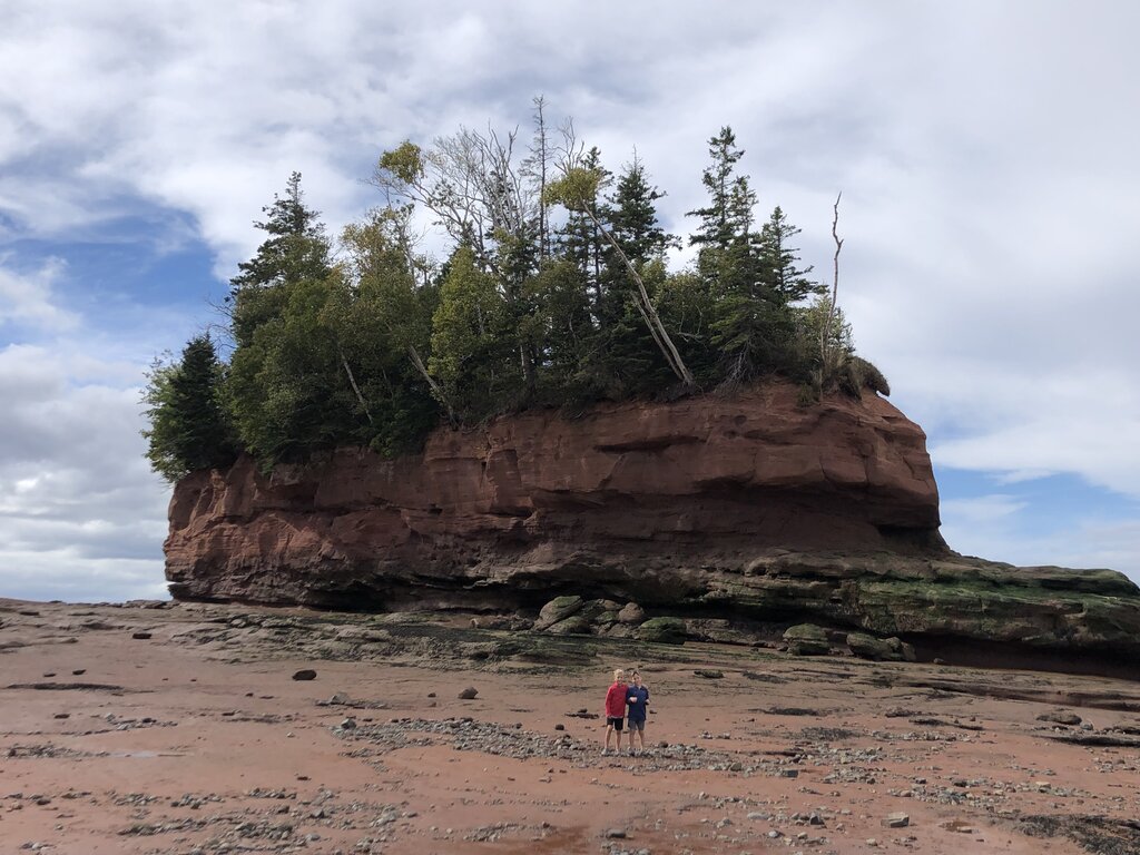 A large red sandstone sea stack topped with evergreen trees stands on the ocean floor at low tide in Burntcoat Head Park, with two children standing at its base for scale. This dramatic tidal landscape is one of the most unique things to do in Nova Scotia, offering a rare walk on the ocean floor.