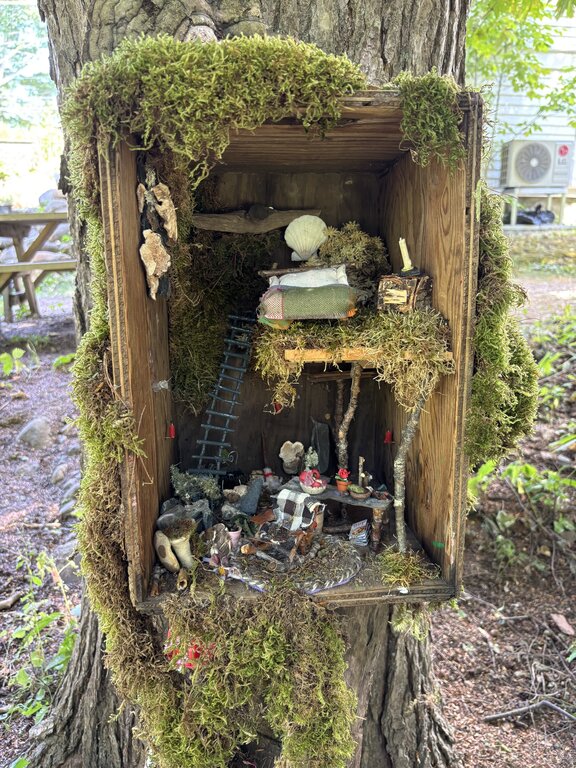 An open wooden box attached to a tree reveals an intricately detailed fairy home with a mossy loft bed, miniature table settings, and tiny household objects crafted from natural materials.