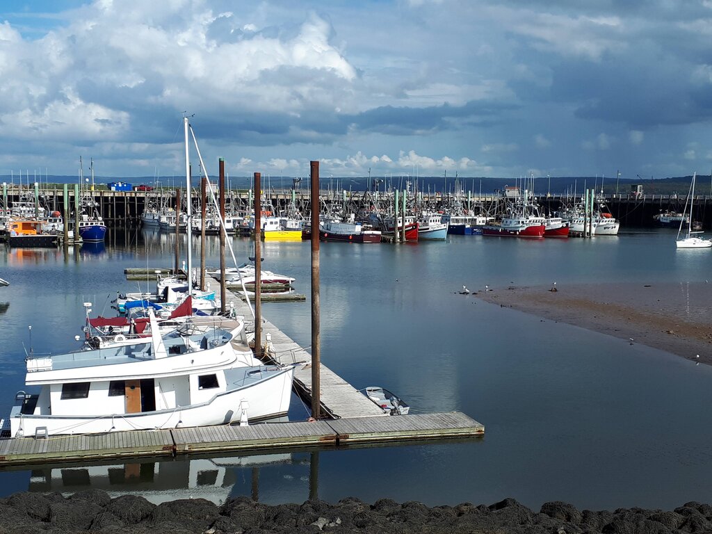 Harbour filled with fishing boats and sailboats docked along wooden piers with calm water reflecting the vessels under a cloudy sky in Digby Nova Scotia
