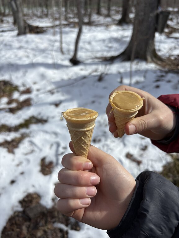 Two hands hold small ic cream cones filled with soft maple cream in a snowy forest. This maple syrup treat is shown outdoors during sugaring season with bare trees and patches of snow in the background.
