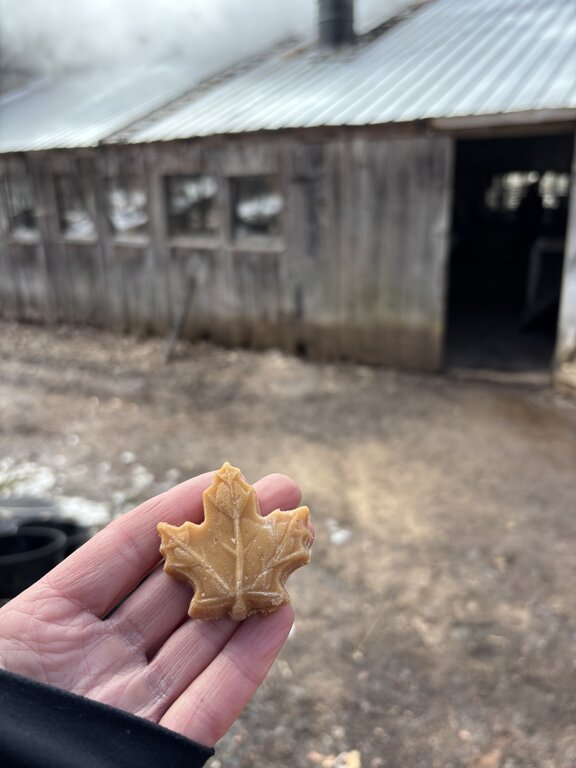 A hand holds a small leaf shaped maple candy in front of a rustic wooden sugar shack. The shallow focus keeps the candy sharp while the building and dirt yard blur into the background.