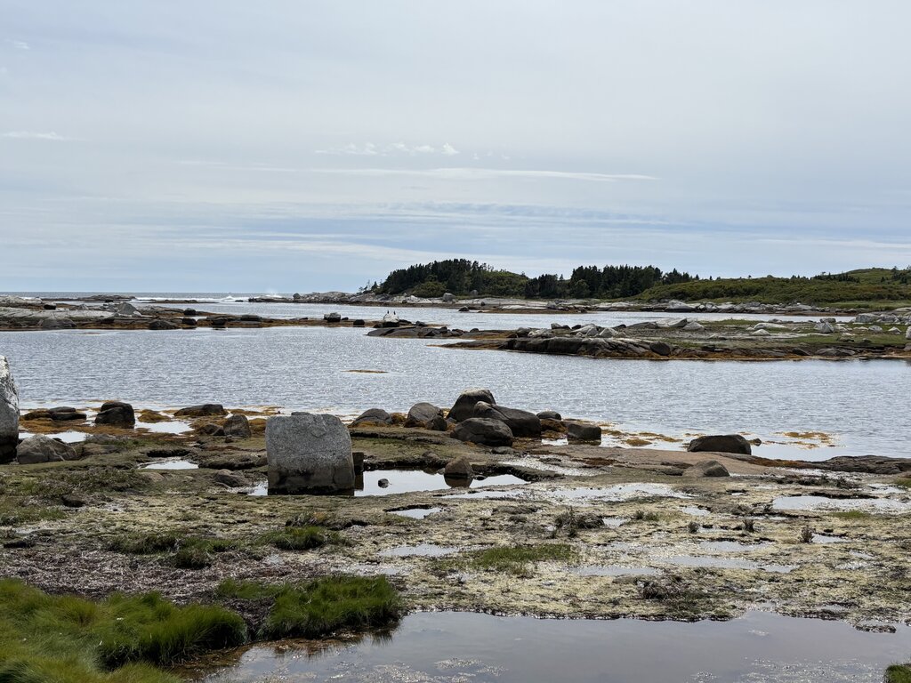 Rocky tidal flats with shallow pools of water stretching toward low forested islands along the coast. Seaweed and smooth stones cover the shoreline beneath an overcast sky.