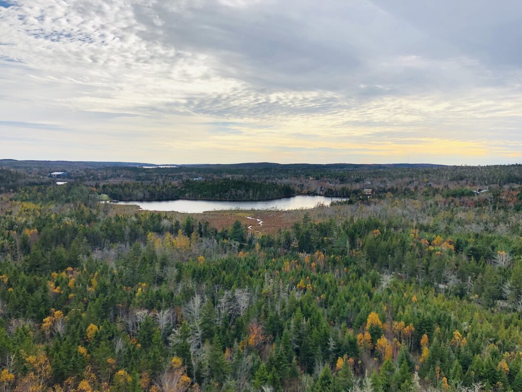 A high viewpoint looks across a mixed forest dotted with yellow and orange fall foliage toward a small lake. Layered clouds and soft evening light stretch across the sky.