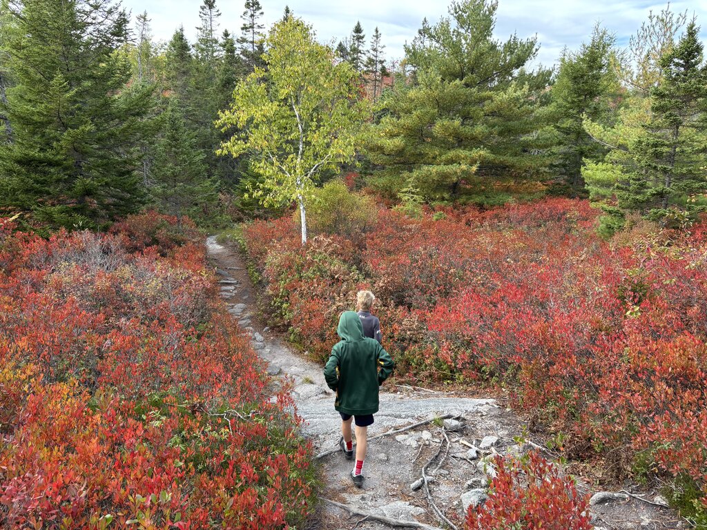 Two children walk along a narrow rocky trail surrounded by brilliant red shrubs and green evergreen trees. The vivid foliage shows the colorful terrain hikers can experience on fall hikes in Nova Scotia.