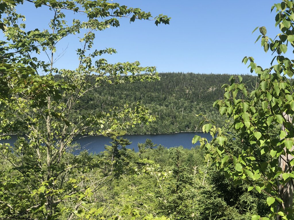 A dark blue lake sits below a densely forested hillside framed by bright green leaves in the foreground. The peaceful viewpoint shows the lush scenery found along hiking trails in Nova Scotia.